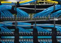Cat 6 Patch Panel